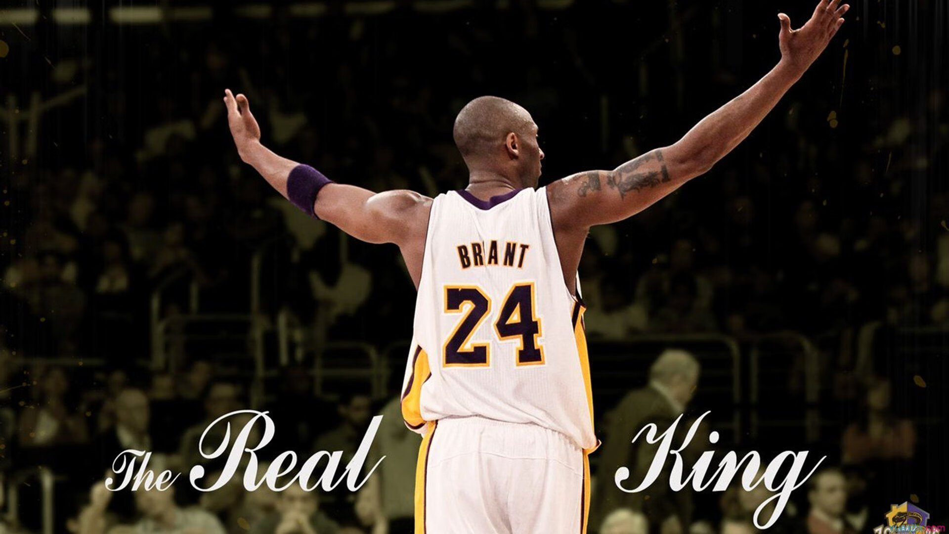 开云体育移动版-_地下暗道：隐藏场地中的神秘比赛_，地下暗室设计图